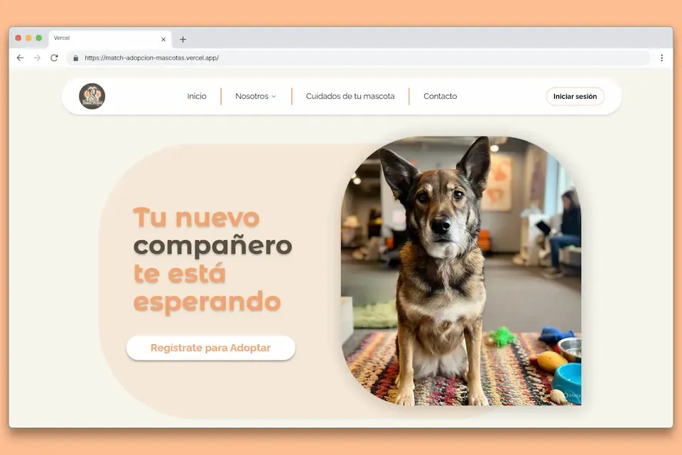 Match Project